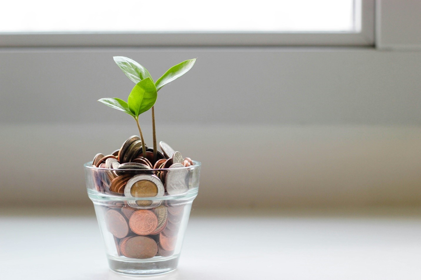 A jar fill with coins and plant
